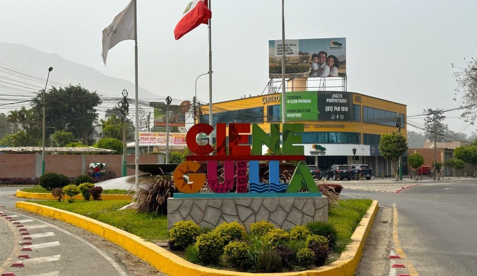 whatsapp image 2026 01 17 at 12.33.04 pm (3)