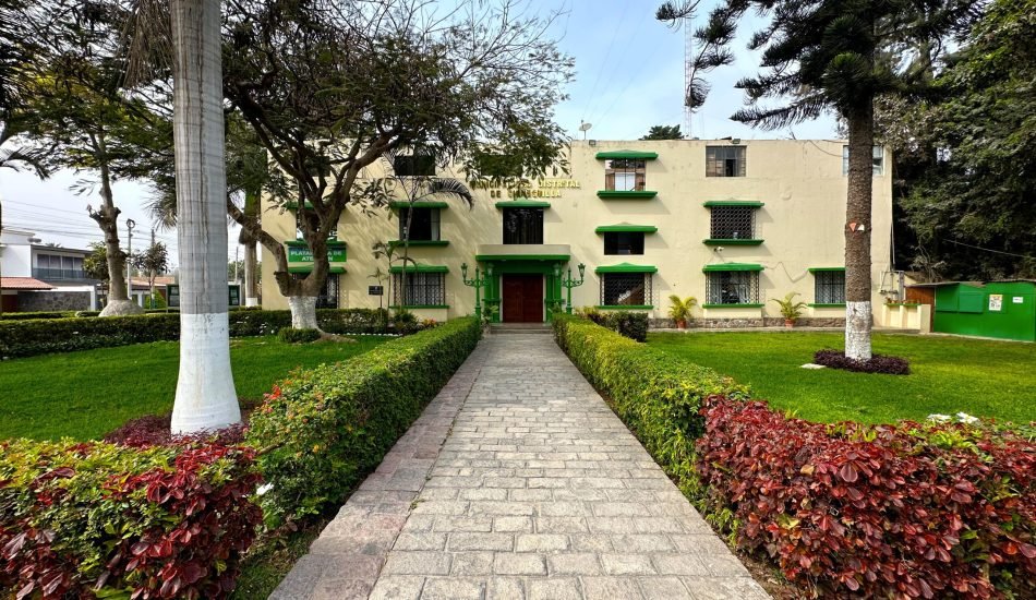 whatsapp image 2026 01 17 at 12.33.04 pm