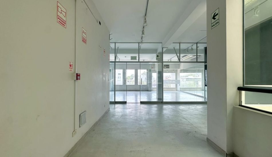 WhatsApp Image 2026-01-28 at 11.50.03 AM