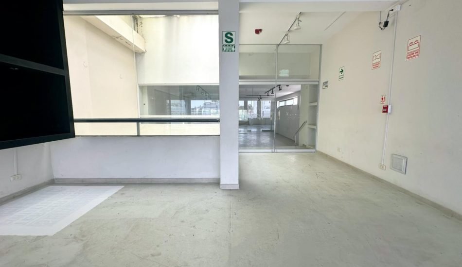 WhatsApp Image 2026-01-28 at 11.50.05 AM