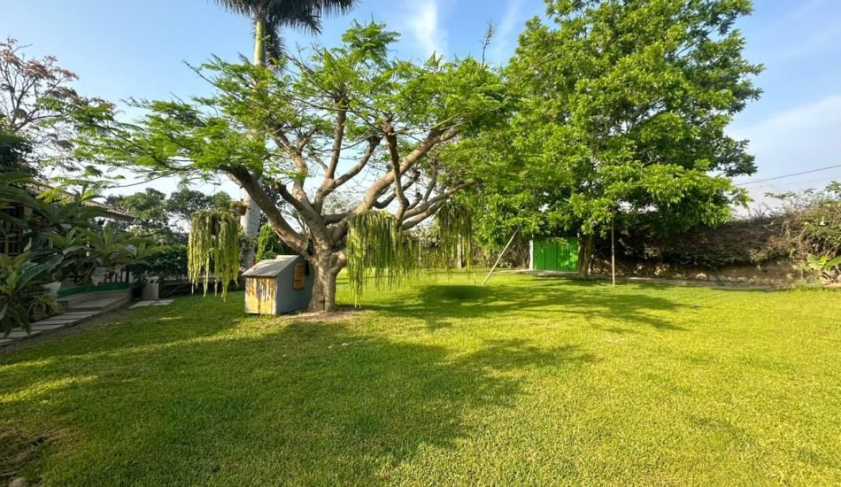 WhatsApp Image 2026-01-28 at 12.39.09 PM (2)