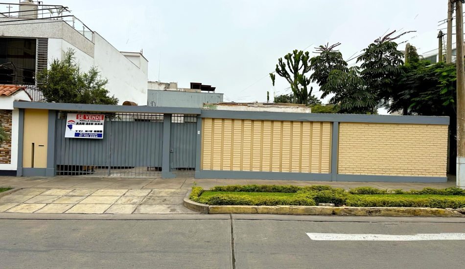 whatsapp image 2026 01 30 at 5.36.46 pm (3)