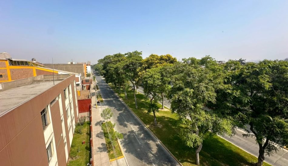 whatsapp image 2026 02 05 at 1.04.02 pm (4)