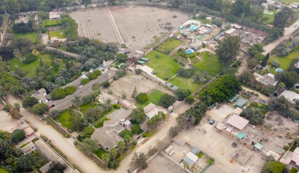 whatsapp image 2026 02 05 at 12.13.38 pm (4)