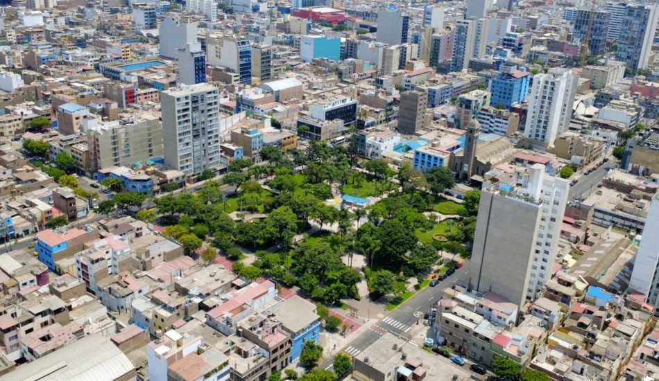 whatsapp image 2026 03 12 at 4.55.01 pm (3)