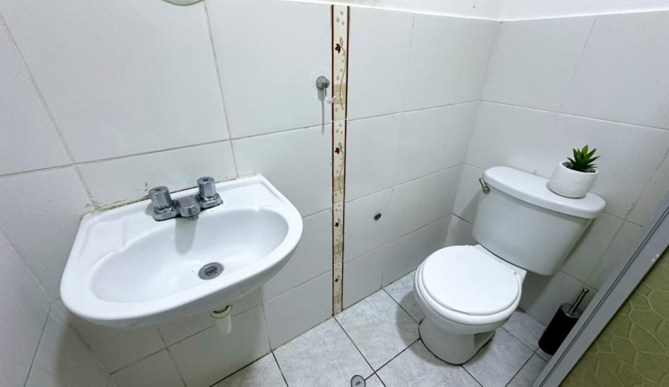 whatsapp image 2026 03 20 at 10.46.55 am (2)