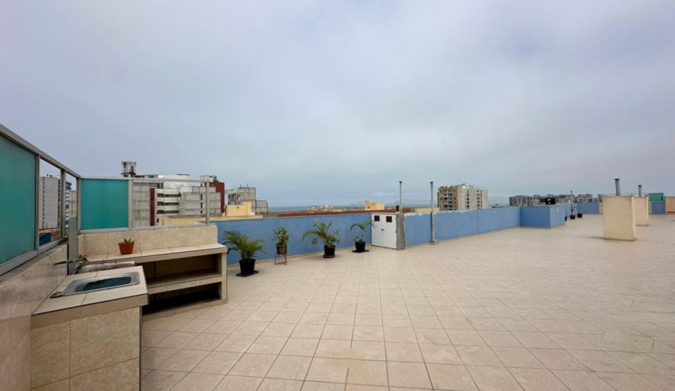 whatsapp image 2026 03 20 at 10.46.58 am