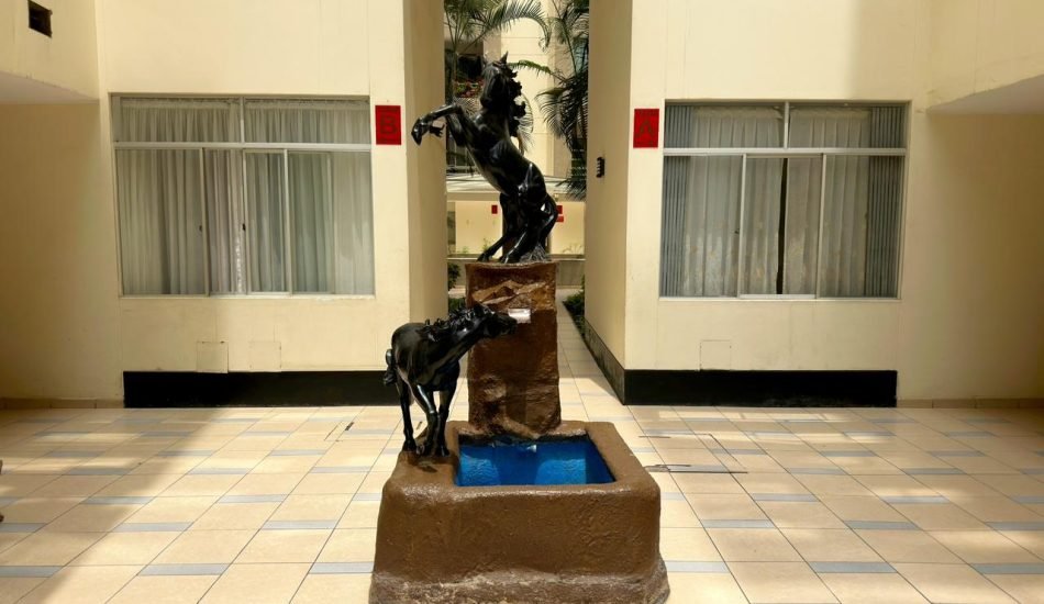 whatsapp image 2026 03 20 at 10.46.59 am