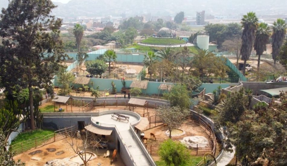 whatsapp image 2026 04 06 at 4.11.30 pm (3)