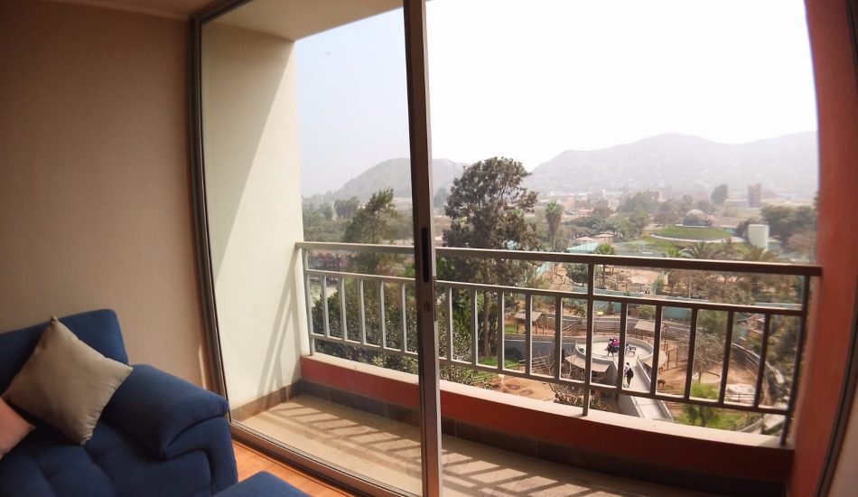 whatsapp image 2026 04 06 at 4.11.31 pm (3)