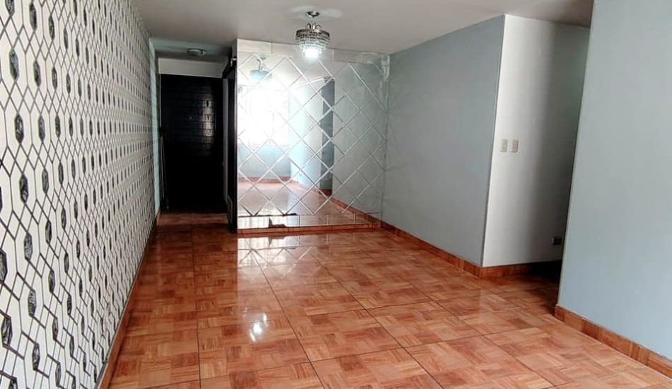 whatsapp image 2026 04 17 at 2.03.40 pm (3)