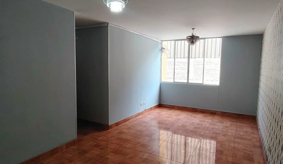 whatsapp image 2026 04 17 at 2.03.40 pm (4)